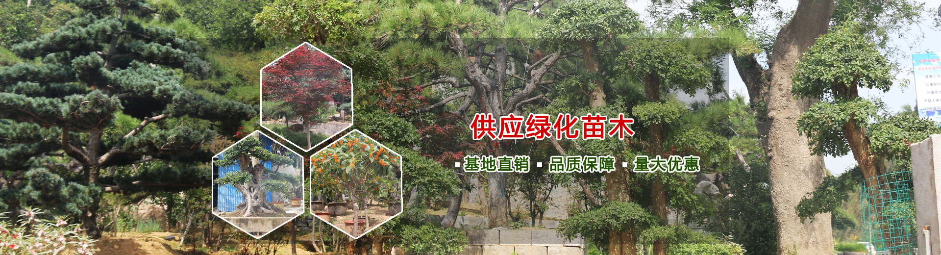 萬(wàn)東鋼結(jié)構(gòu)（山東）有限公司